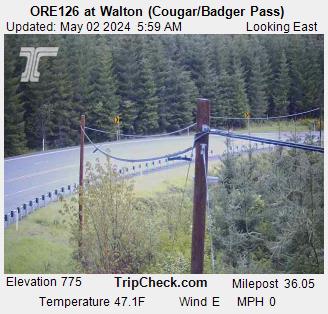 ORE126 at Walton (Cougar/Badger Pass)